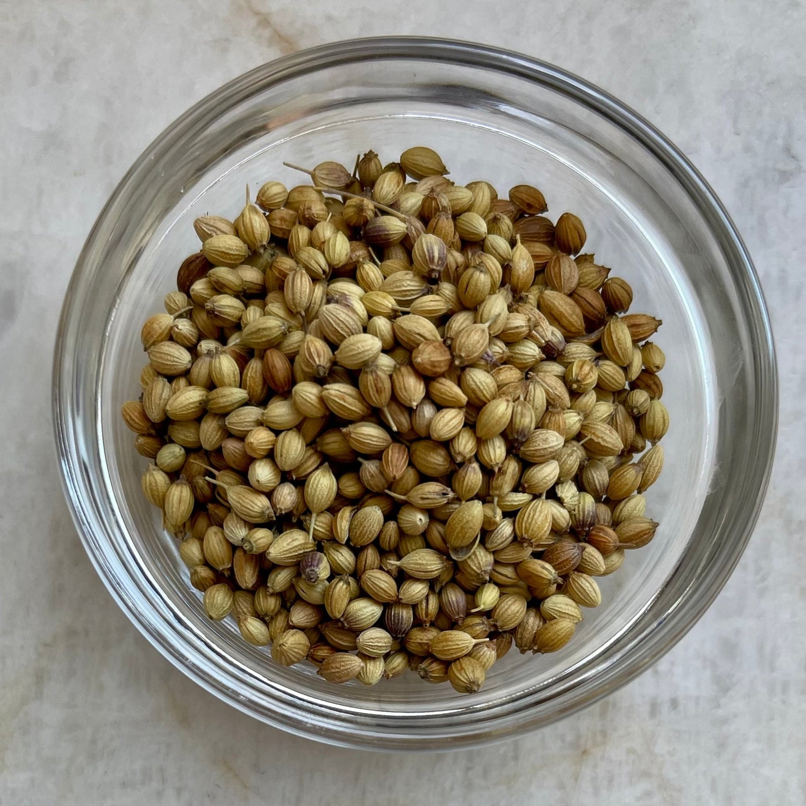 Anupy's Spice Corner: Whole Coriander Seeds