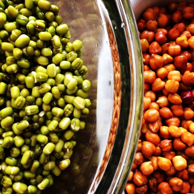 Sprouting 101: Soak, Drain, Sprout, and Eat in Less Than a Week!