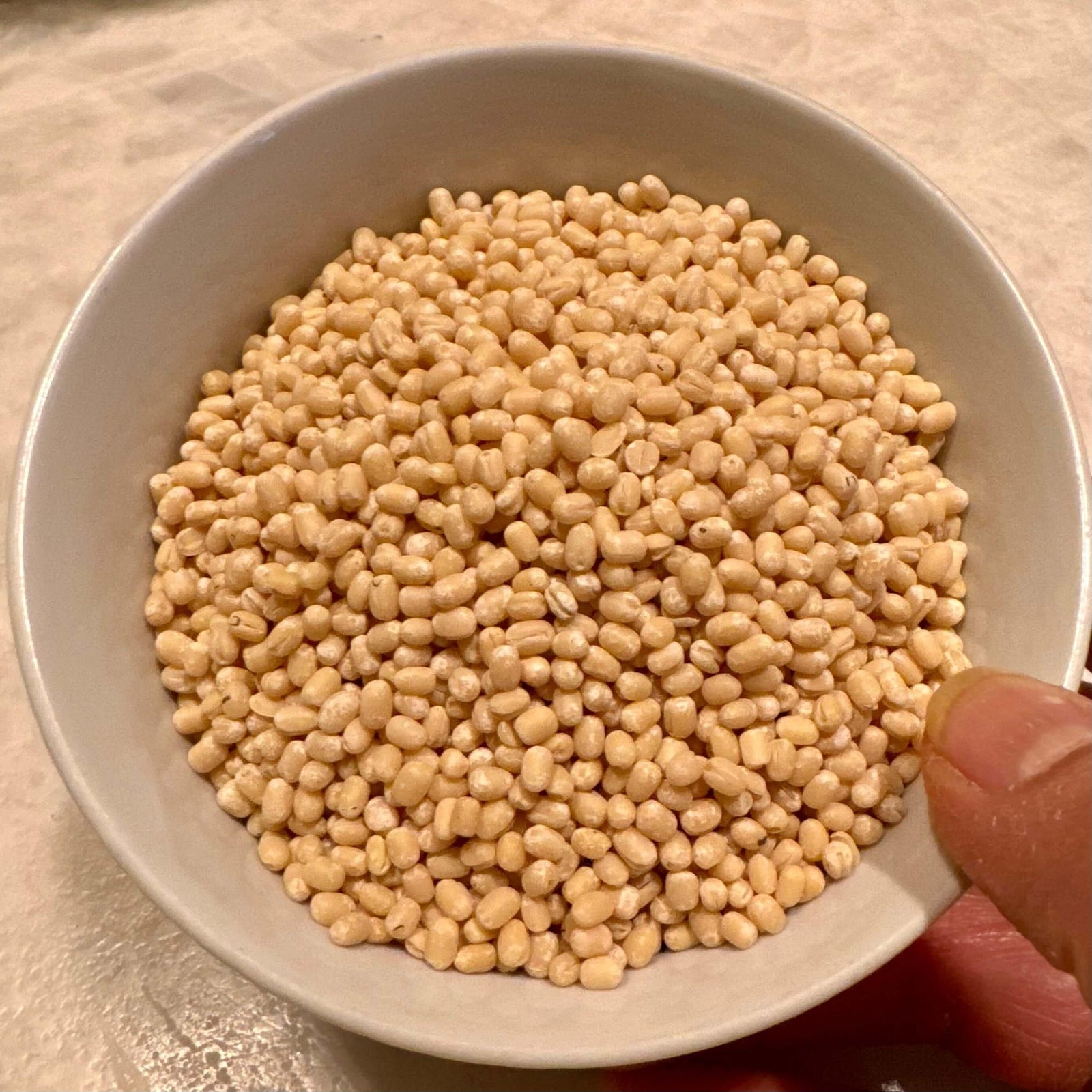 Indian as Apple Pie Urad Gota - Whole Skinned Black Gram